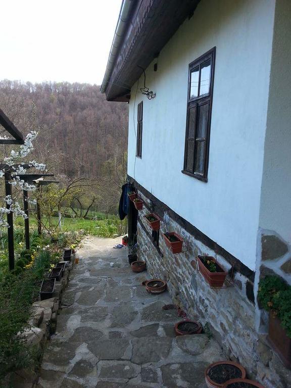 Къща За Гости Ножери تريفنا المظهر الخارجي الصورة